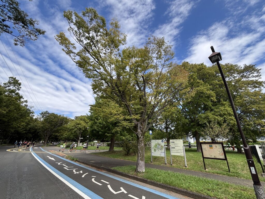 新しい靴とウェアで迎えた、公園デビューの日